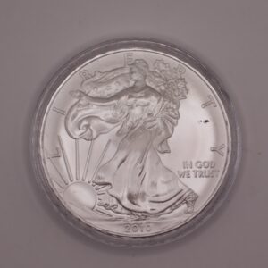 American Silver Eagle (1 oz)